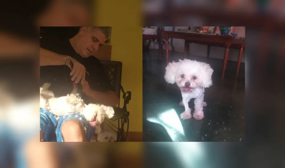 Desliza a la izquierda para ver más imágenes que ya son virales en Facebook. (Foto: Facebook) Desliza a la izquierda para ver más imágenes que ya son virales en Facebook. (Foto: Facebook)