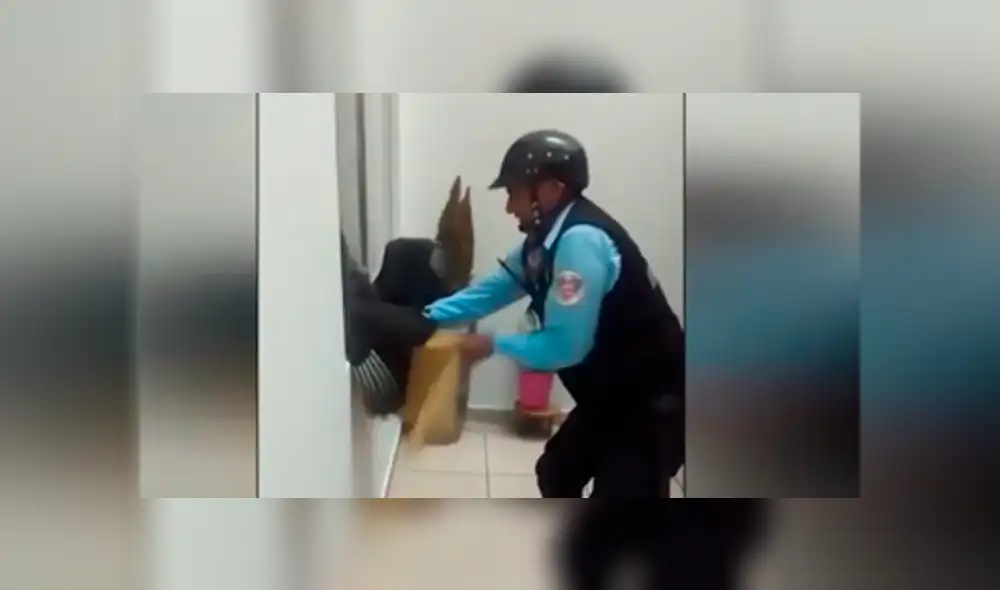 Pueblo Libre: presencia de gallinazos al interior de un inmueble atemorizó a los vecinos [VIDEO]