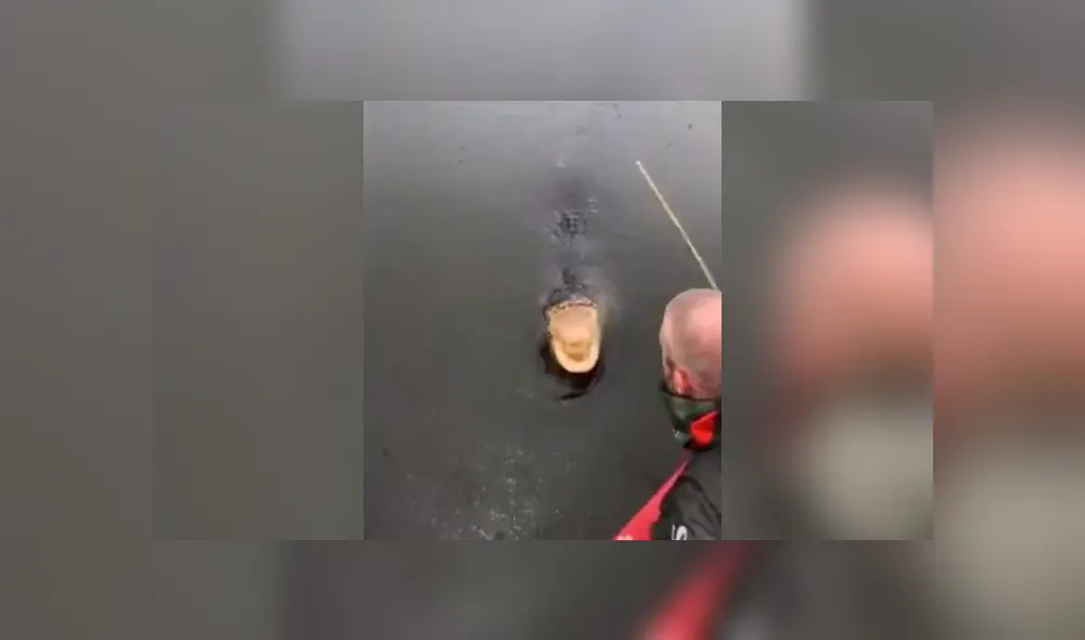 Turista que grabó el video viral de Facebook toca los colmillos de gigantesco cocodrilo, sin imaginar lo que pasaría con sus manos. Turista que grabó el video viral de Facebook toca los colmillos de gigantesco cocodrilo, sin imaginar lo que pasaría con sus manos.