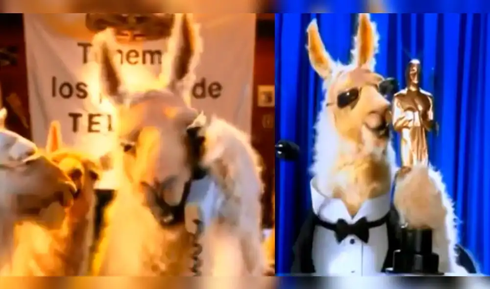 Facebook: “La llama que llama” se viraliza por ascenso de Cáceres Llica al Misti [VIDEO]