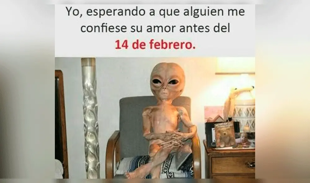 San Valentín: los memes más graciosos para compartir en WhatsApp y Facebook [FOTOS]