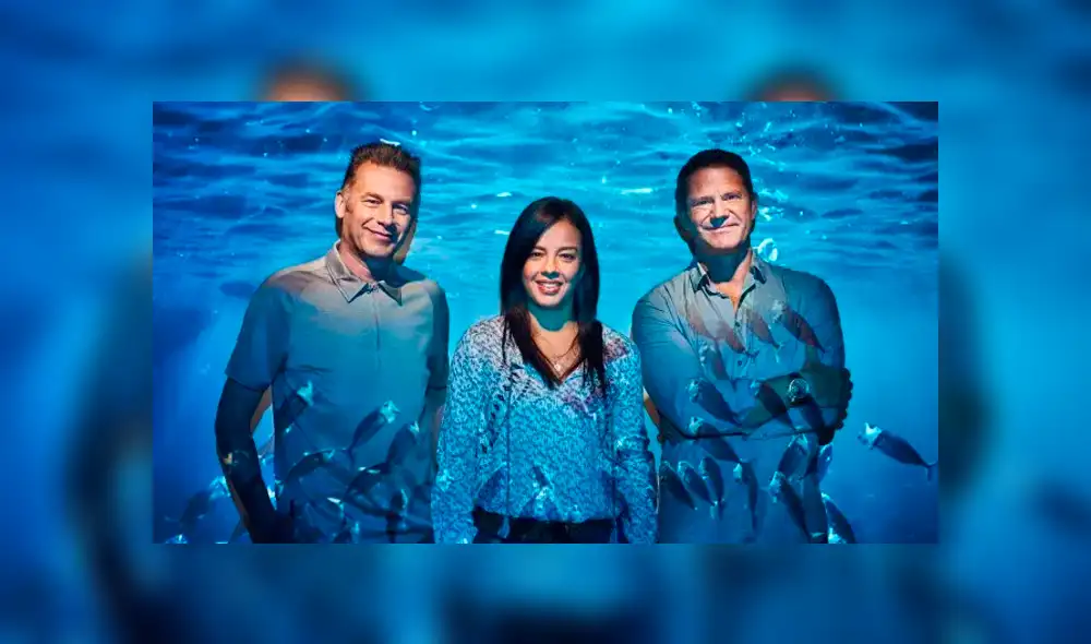 Facebook viral:Una tortuga fue liberada en vivo por una reportera pero un ave arruina tierno momento [VIDEO]