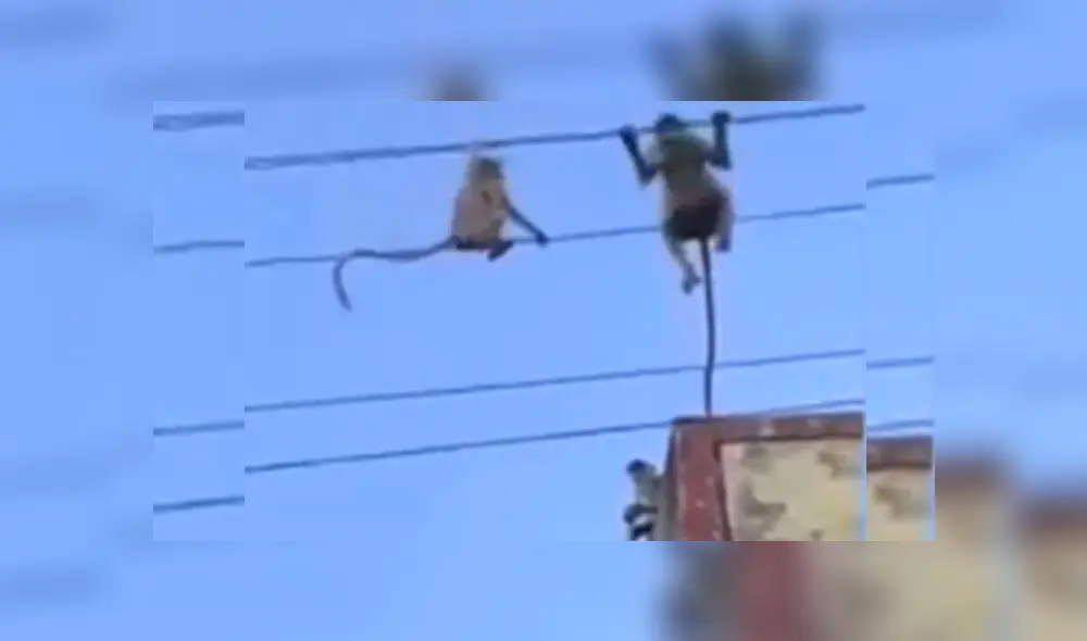 Desliza hacia la izquierda para ver má del video viral. Desliza hacia la izquierda para ver má del video viral.