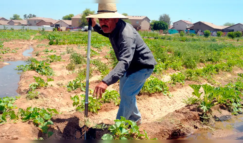 Dancourt: "No hay razón para decir que el mercado laboral es rígido"