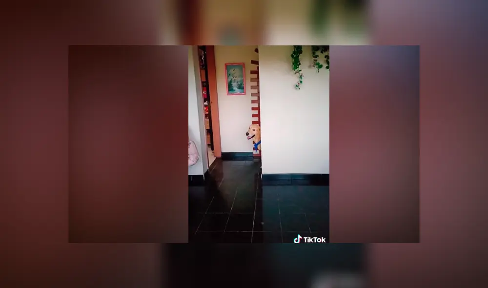 Desliza las imágenes para la divertida parodia de Toy Story que hizo una joven junto a su perro. Fotocapturas: Mariangélica Casanova/TikTok