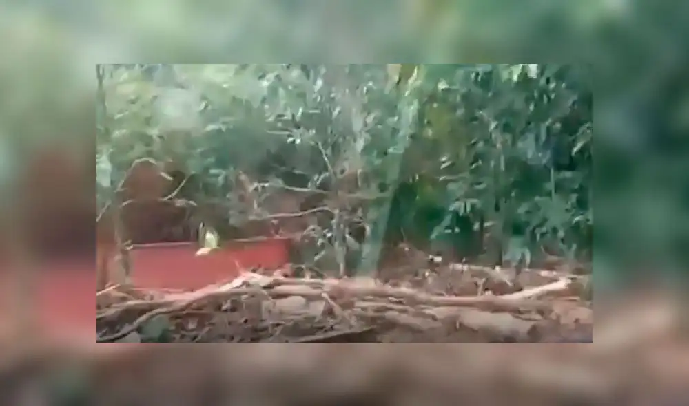 Desastre natural causa muerte de una niña de 6 años en Perené, Chanchamayo. Créditos: Captura Canal N. Desastre natural causa muerte de una niña de 6 años en Perené, Chanchamayo. Créditos: Captura Canal N.