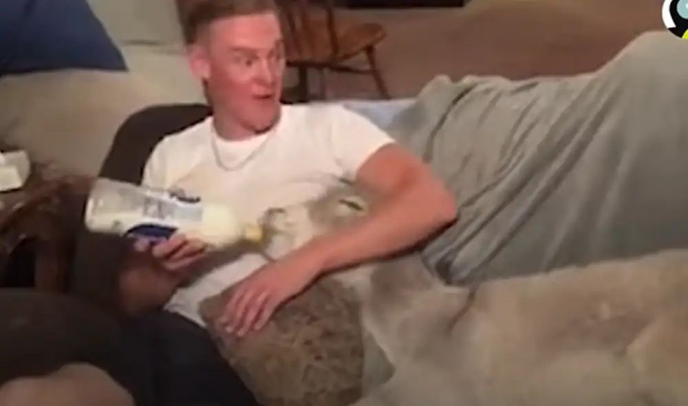 Desliza hacia la izquierda para ver las imágenes del video viral. Foto: captura de YouTube. Desliza hacia la izquierda para ver las imágenes del video viral. Foto: captura de YouTube.