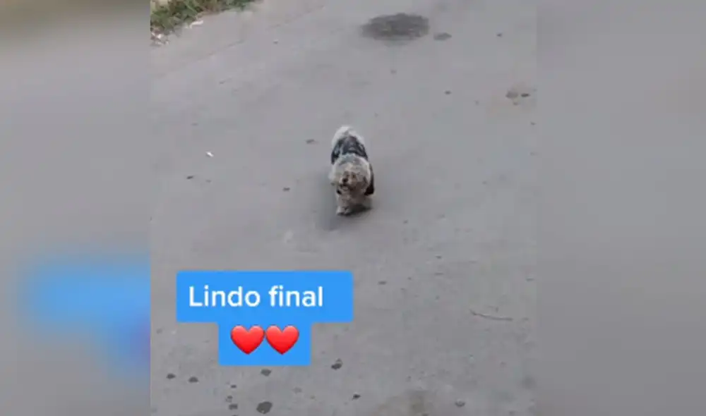 Desliza hacia la izquierda para conocer más detalles de esta conmovedora historia. Foto: captura de TikTok Desliza hacia la izquierda para conocer más detalles de esta conmovedora historia. Foto: captura de TikTok