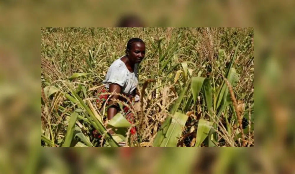 ONU: 90% de personas tiene algún tipo de prejuicio contra las mujeres