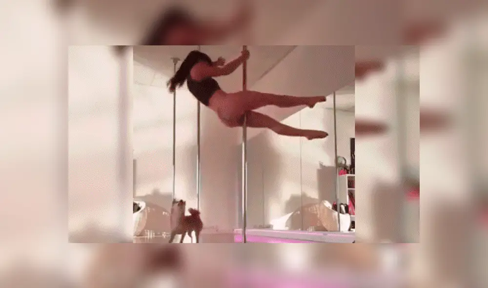 YouTube viral: bella joven hace sexy baile de ‘pole dance’ y su perro le arruina su presentación [VIDEO]