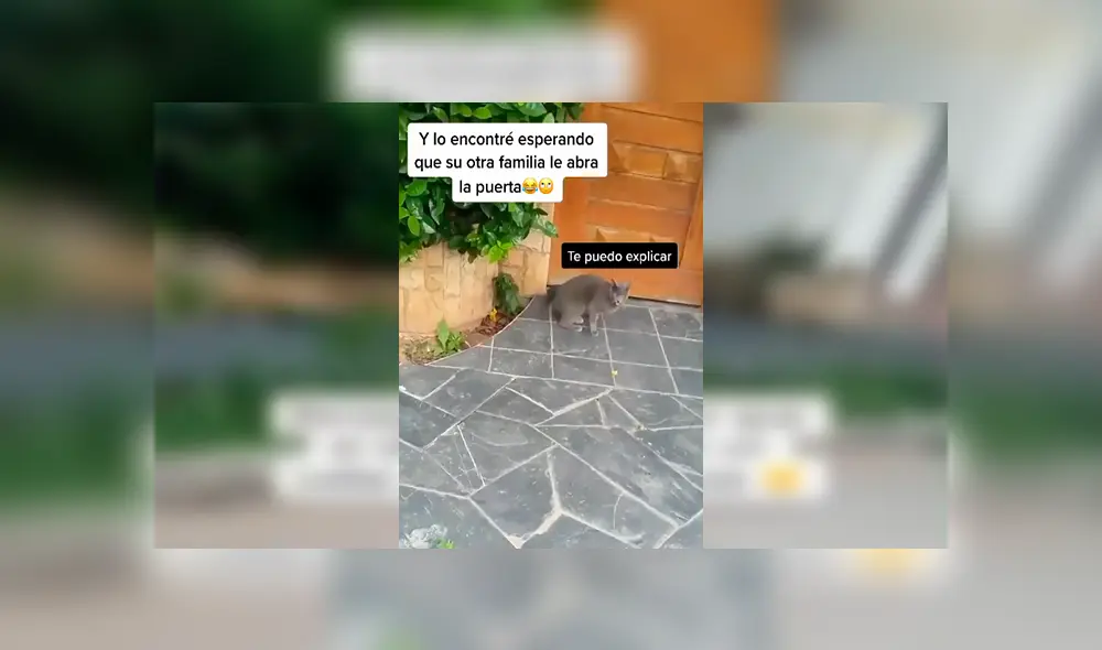 Desliza las imágenes hacia la izquierda para conocer la historia de un travieso gato que tenía una ‘doble vida’. Fotocaptura: Facebook.