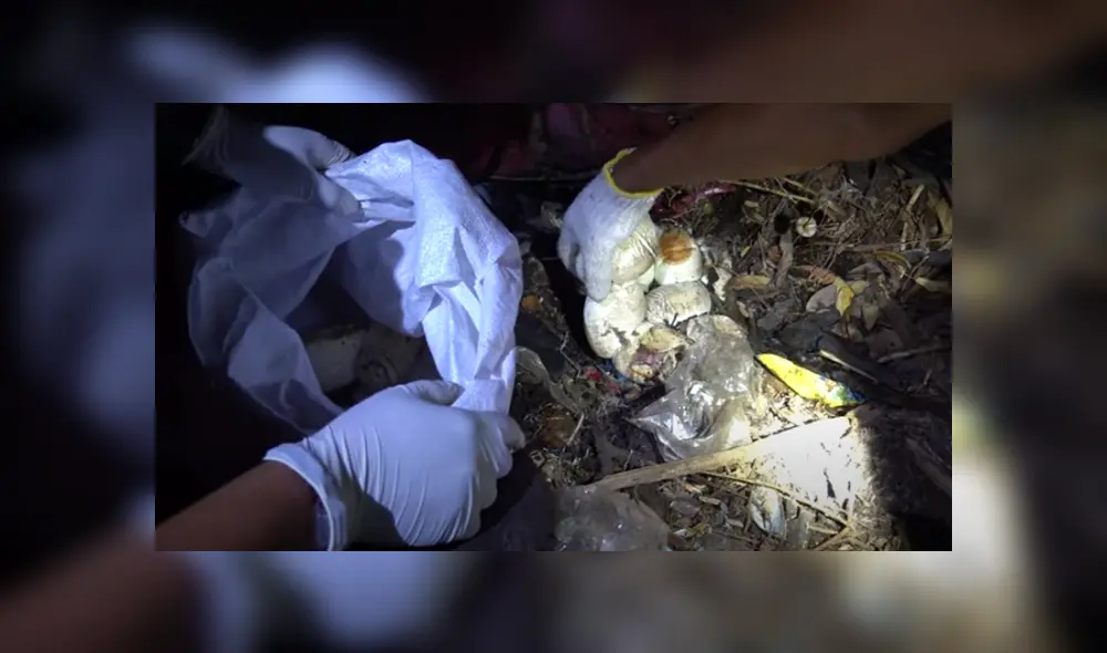 Desliza hacia la izquierda para ver las imágenes del viral de YouTube.