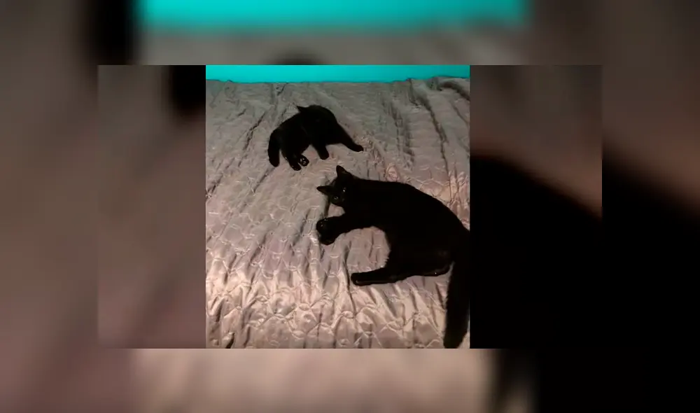 Desliza para ver las fotos de esta historia que conmovió a todos en YouTube. Foto: Captura. Desliza para ver las fotos de esta historia que conmovió a todos en YouTube. Foto: Captura.