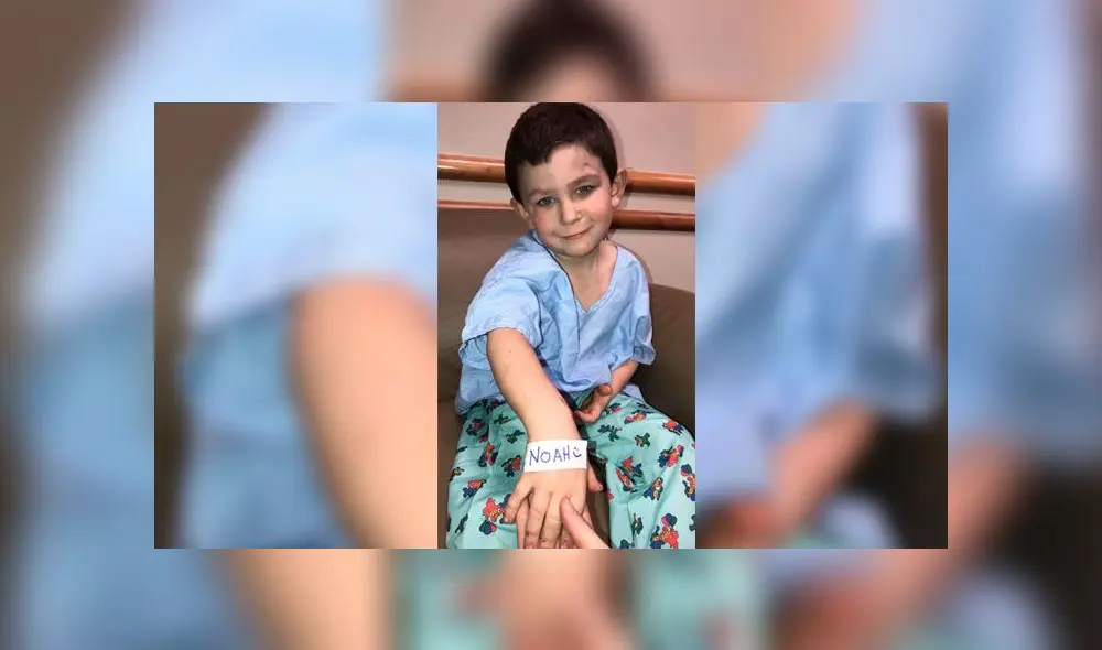 Niño de cinco años rescata a su perro y a su hermanita de un incendio [VIDEO]