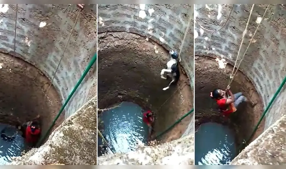 Desliza para enterarte cómo logra esta mujer rescatar a un pobre perrito atrapado en el fondo de un pozo. Foto: Captura. Desliza para enterarte cómo logra esta mujer rescatar a un pobre perrito atrapado en el fondo de un pozo. Foto: Captura.