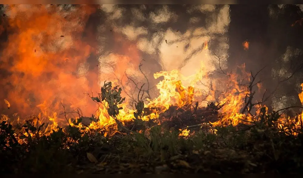 El Amazonas en llamas.