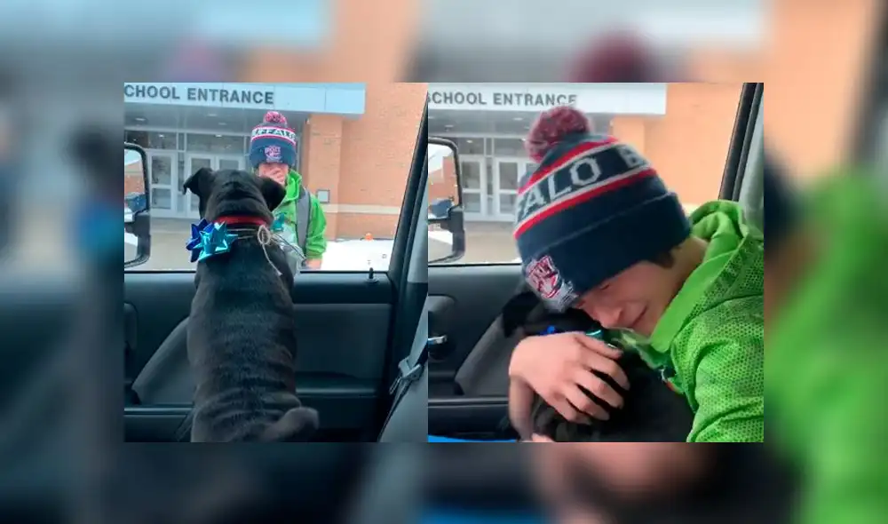 Vía YouTube: Mira el conmovedor reencuentro entre un niño y su mascota perdida. Foto: Captura.