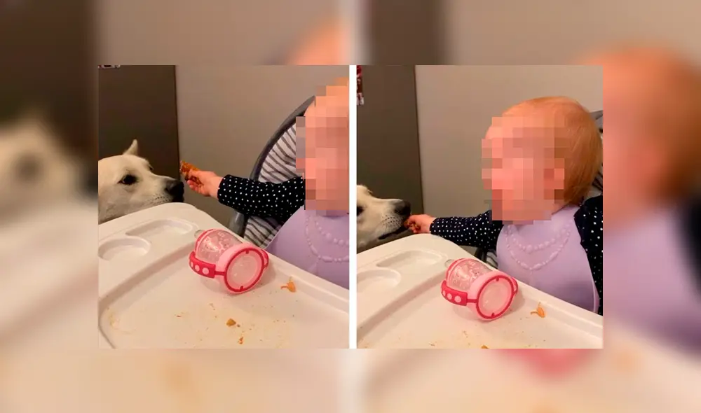 Desliza las imágenes para apreciar la emotiva escena que protagonizaron un bebé junto a su perro.