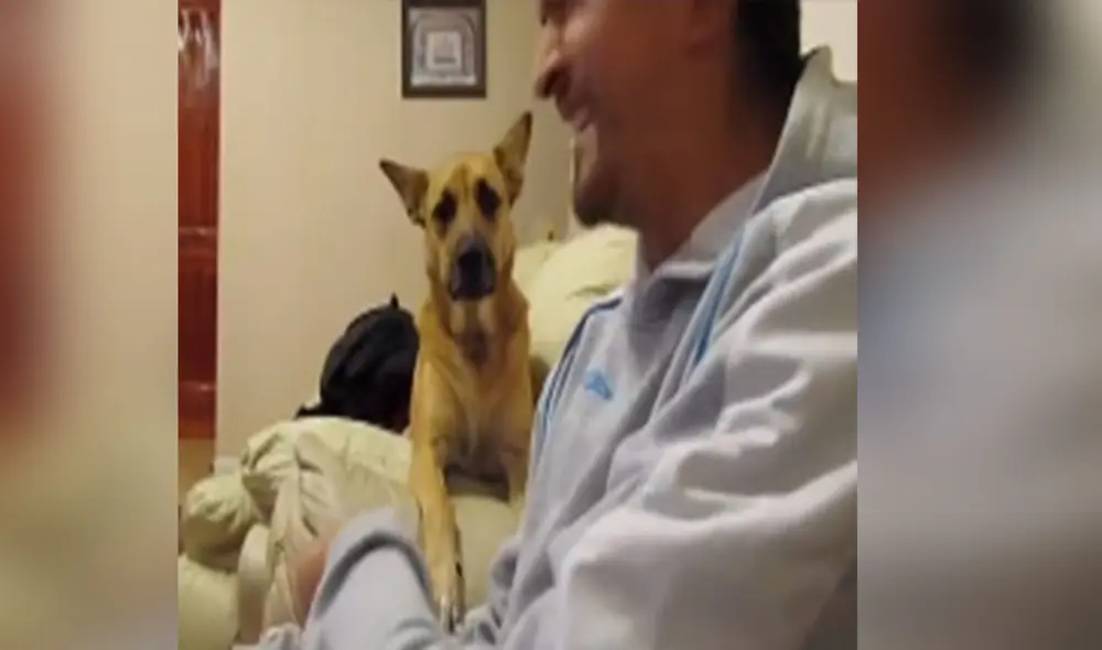 Desliza las imágenes para ver más detalles sobre esta entretenida 'conversación' entre un perro y su amo. Foto: captura de TikTok Desliza las imágenes para ver más detalles sobre esta entretenida 'conversación' entre un perro y su amo. Foto: captura de TikTok