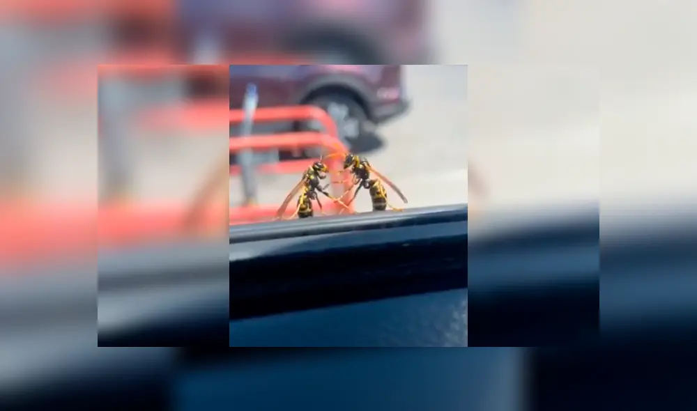 Desliza la imagen compartida en Facebook para ver todas las fotos. Desliza la imagen compartida en Facebook para ver todas las fotos.