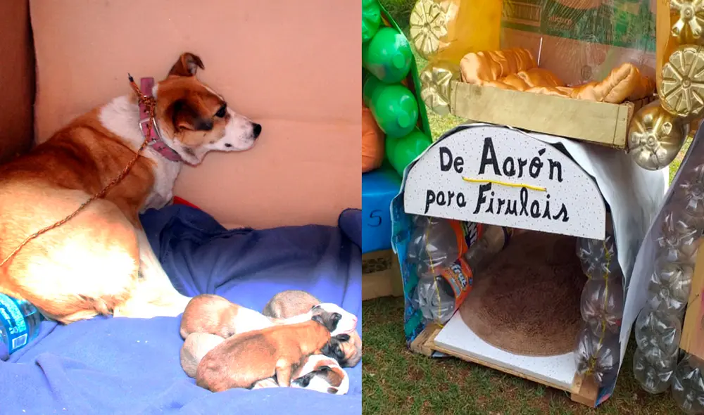Participaron alumnos de las tres secciones de primer grado de primaria. Foto: Unidogs