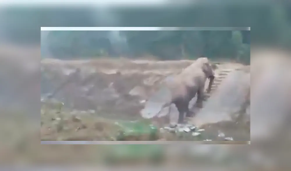 Desliza hacia la izquierda para ver más del video viral Desliza hacia la izquierda para ver más del video viral