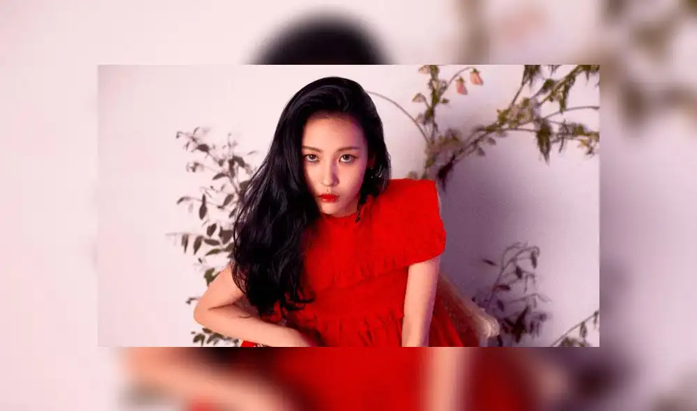 Cantante Kpop se confiesa miembro de la comunidad LGBT [VIDEO]