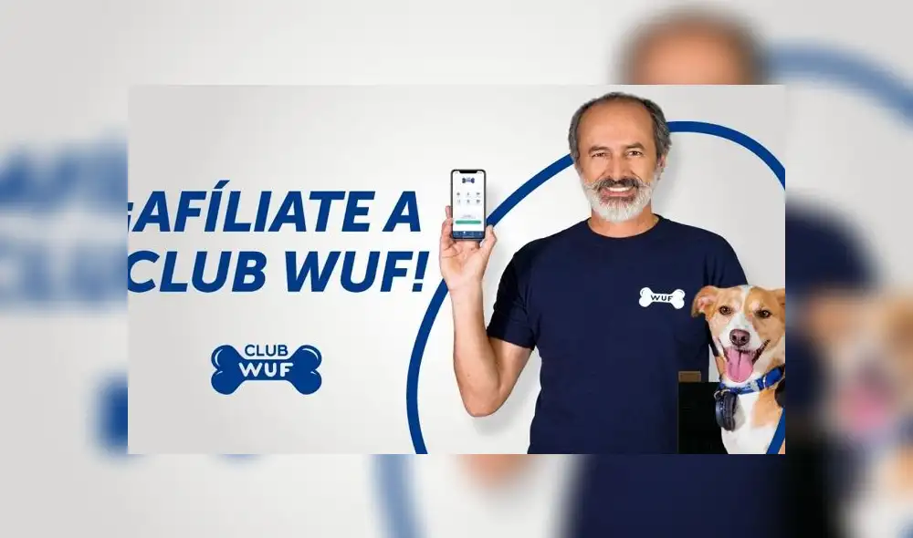 'Club WUF': app peruana busca mejorar calidad de vida de perros sin hogar en el país
