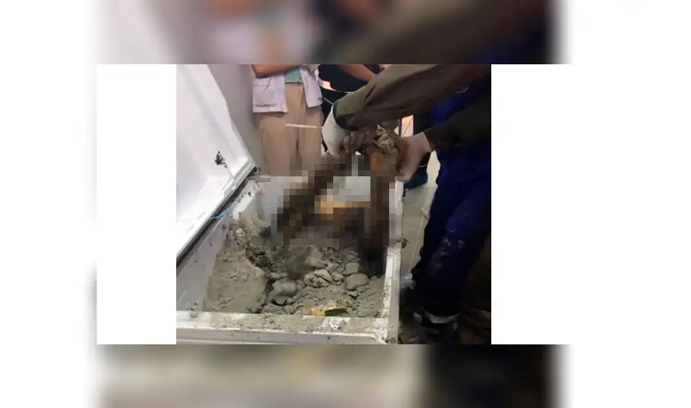 Wannee Jiracharoenying fue hallada dentro de una refrigerada en su casa. Foto: Newspeople Wannee Jiracharoenying fue hallada dentro de una refrigerada en su casa. Foto: Newspeople