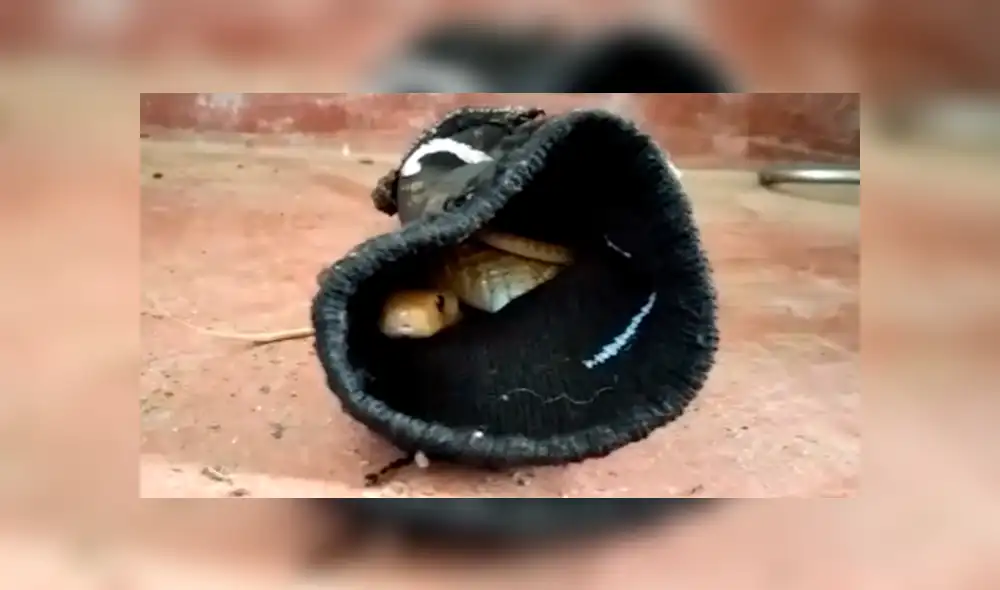 Desliza la imagen compartida en YouTube para verlas todas. Desliza la imagen compartida en YouTube para verlas todas.