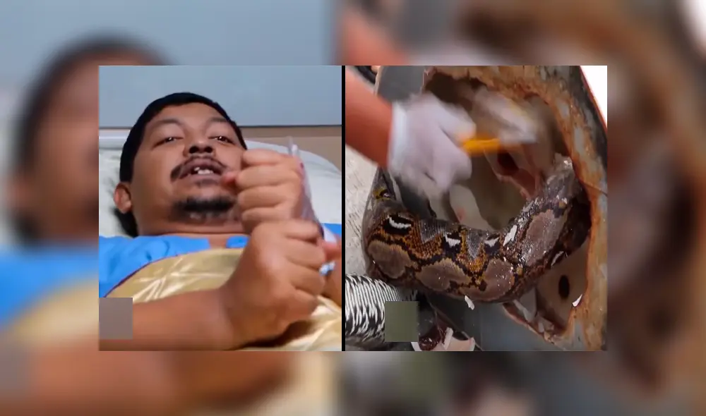 Un video viral de Facebook mostró el desgarrador relato de un hombre mordido por una serpiente pitón de 3 metros, mientras realizaba sus necesidades fisiológicas. Un video viral de Facebook mostró el desgarrador relato de un hombre mordido por una serpiente pitón de 3 metros, mientras realizaba sus necesidades fisiológicas.