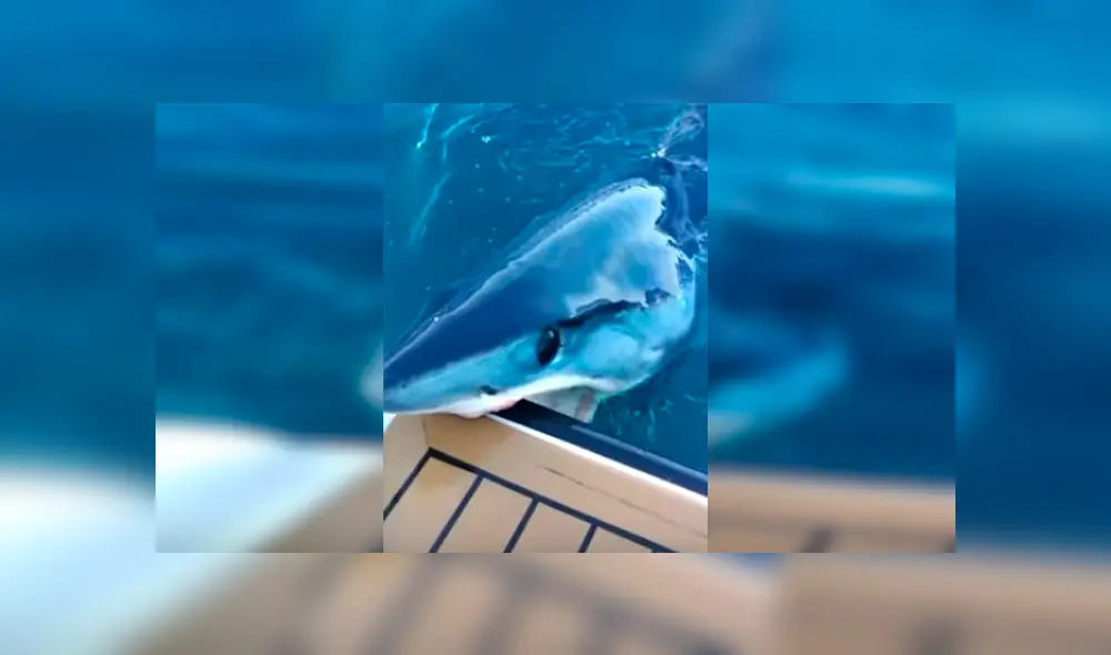 Desliza hacia la izquierda para más del video viral