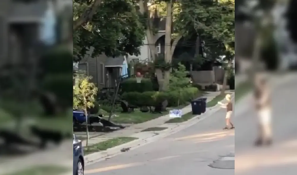 Las imágenes del perro basquetbolista se volvieron virales en el mundo. Foto: Facebook/Captura/Viva basquet