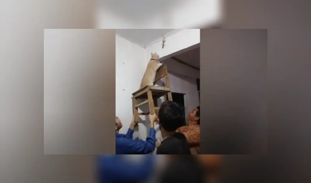 Desliza hacia la izquierda para ver más del video viral Desliza hacia la izquierda para ver más del video viral