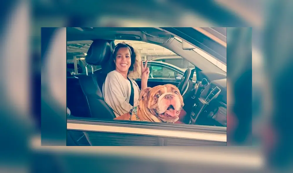 Desliza la imagen de Facebook para verlas todas.