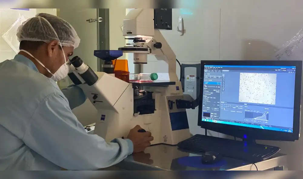 La tecnología molecular es la aliada de los científicos para el estudio del genoma del coronavirus. La tecnología molecular es la aliada de los científicos para el estudio del genoma del coronavirus.