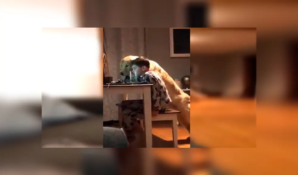 En Facebook, un padre colocó una cámara de seguridad en su casa y descubrió tierna escena protagonizada por su hijo y perro. En Facebook, un padre colocó una cámara de seguridad en su casa y descubrió tierna escena protagonizada por su hijo y perro.