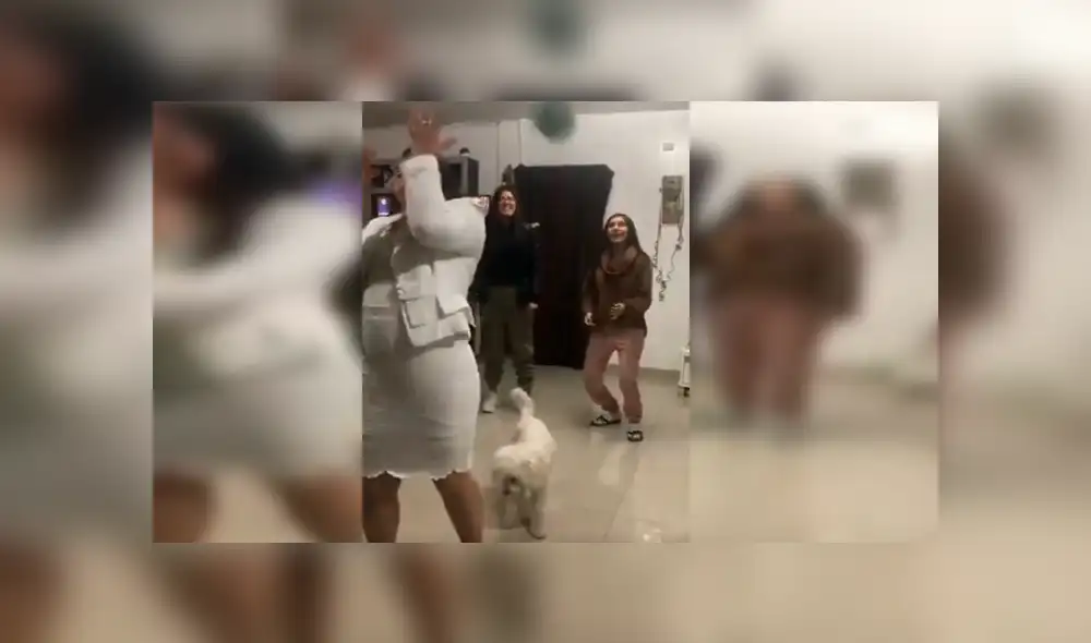 Jóvenes querían retratar uno de los momentos más representativos de una boda, sin imaginar que el travieso can malograría su práctica Jóvenes querían retratar uno de los momentos más representativos de una boda, sin imaginar que el travieso can malograría su práctica