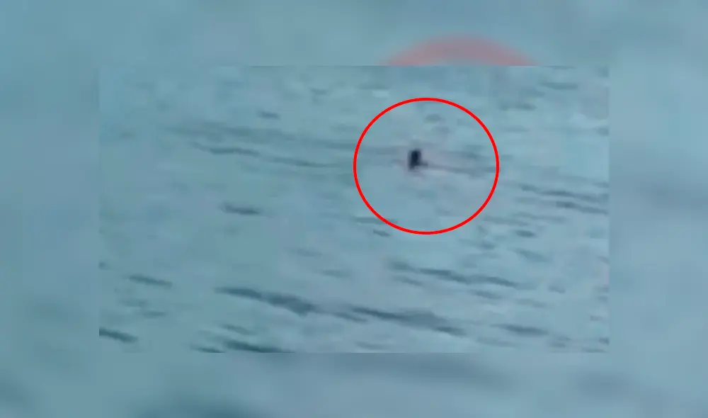 YouTube viral: ¿sirena sale del mar? Pescadores quedan impactados con extraña mujer [VIDEO]