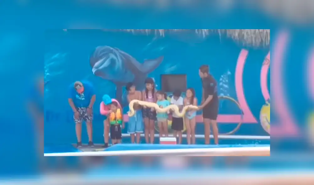 Facebook viral: niño 'trolea' a su padre con inesperada respuesta en actuación de su colegio [VIDEO] 