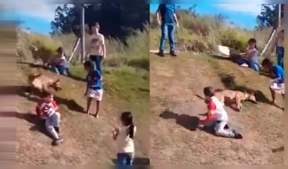 YouTube: perro tiene peculiar forma para divertirse como "bebé" y realiza esto [VIDEO] 