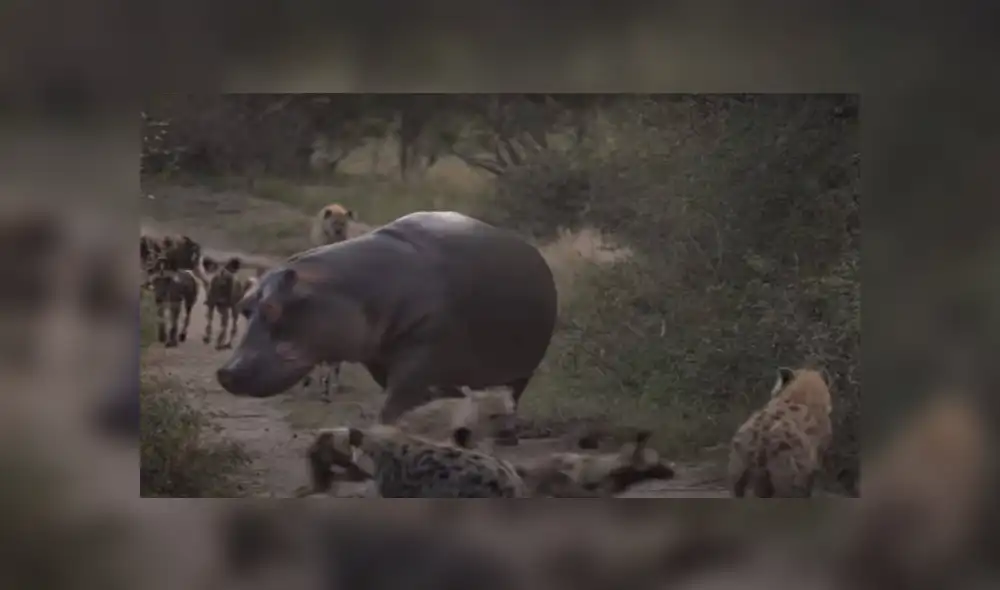 Desliza para ver los detalles del video viral de YouTube. Foto: Captura. Desliza para ver los detalles del video viral de YouTube. Foto: Captura.