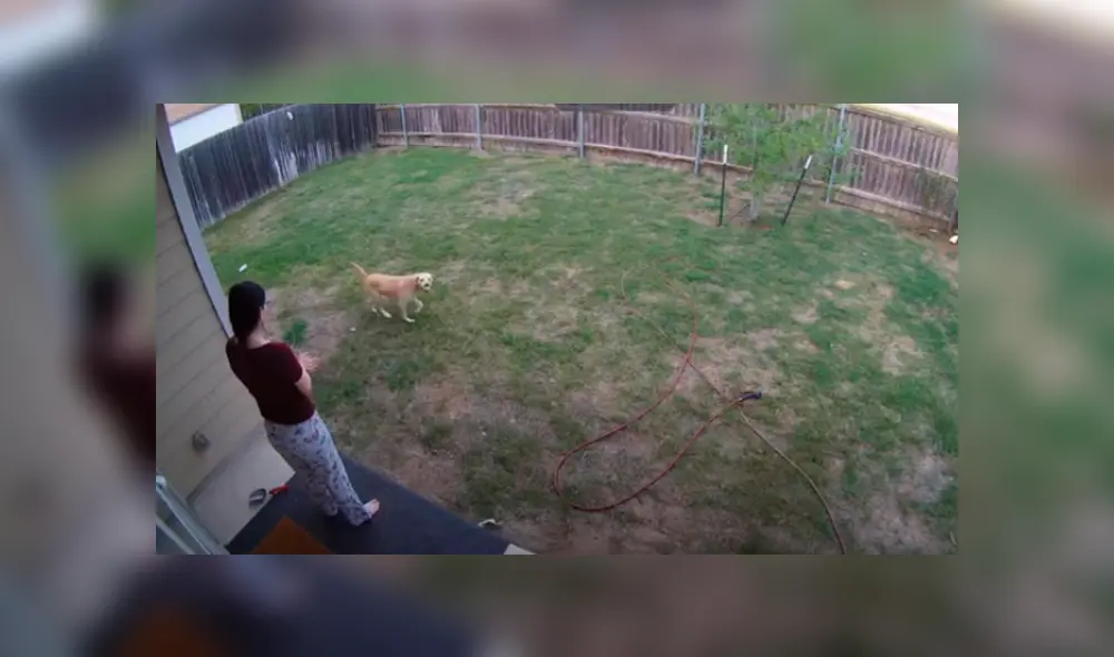 Desliza hacia la izquierda para ver las imágenes del viral de YouTube.