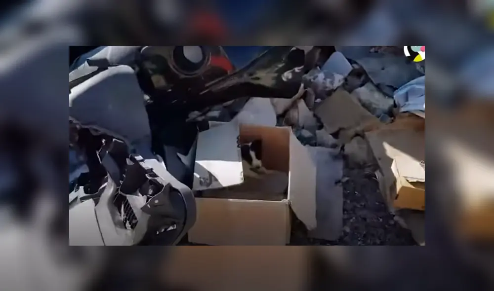 Desliza hacia la izquierda para ver las imágenes del viral de YouTube.