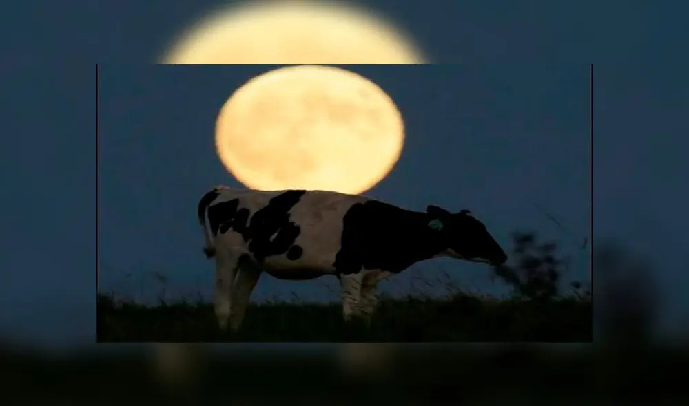 ¿Cómo afecta un eclipse solar a las personas y los animales?. Foto: El Universal.