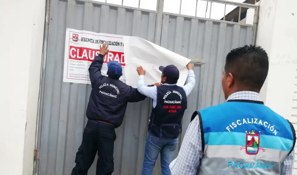 Aves eran criadas en condiciones insalubres dentro de una granja Aves eran criadas en condiciones insalubres dentro de una granja