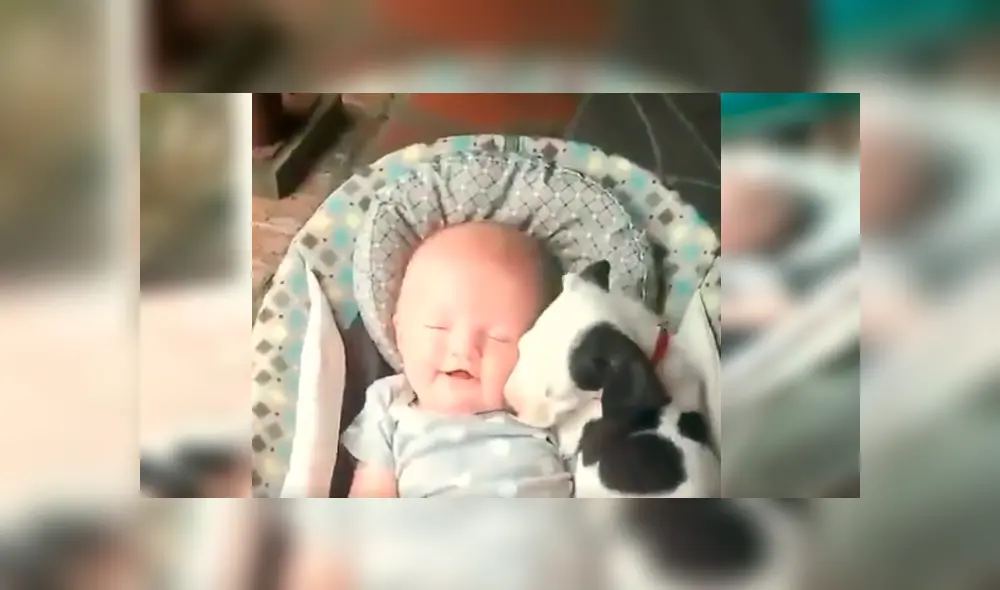 El curioso episodio quedó registrado por la mamá del bebé, quien no dudó en compartir las imágenes en Facebook y otras redes El curioso episodio quedó registrado por la mamá del bebé, quien no dudó en compartir las imágenes en Facebook y otras redes