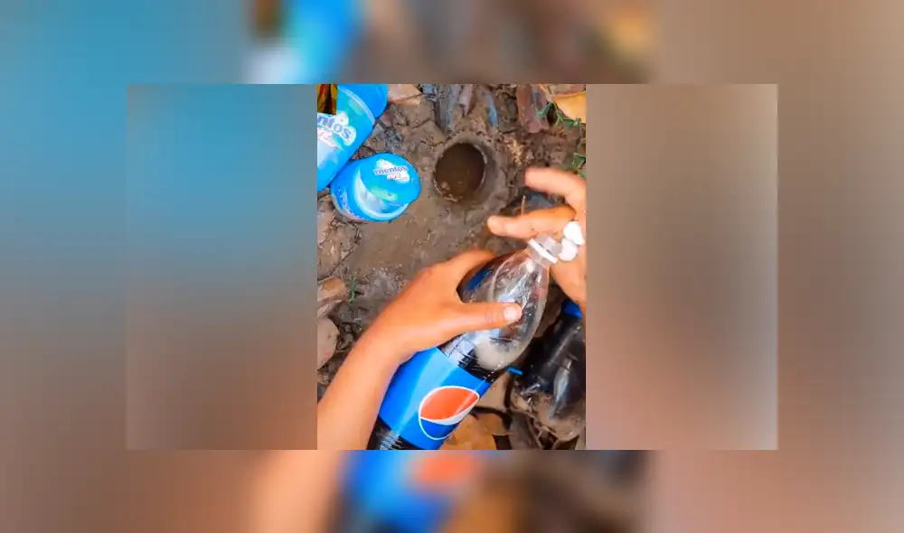 Desliza hacia la izquierda para ver las criaturas que atrapó un pescador. Video viral de YouTube. Desliza hacia la izquierda para ver las criaturas que atrapó un pescador. Video viral de YouTube.