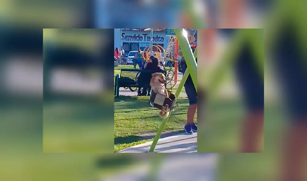 Facebook: perro disfruta a lo grande en parque de niños y causa ternura en la red [VIDEO]