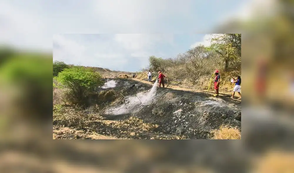 Incendio pone en riesgo el patrimonio cultural “Cabeza de Vaca” en Tumbes Incendio pone en riesgo el patrimonio cultural “Cabeza de Vaca” en Tumbes